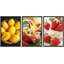 Mangue, fruit du dragon et fraise, nourriture, photographie, fruits, réalisme, chic, gros plan, ultra-102297991-102297990