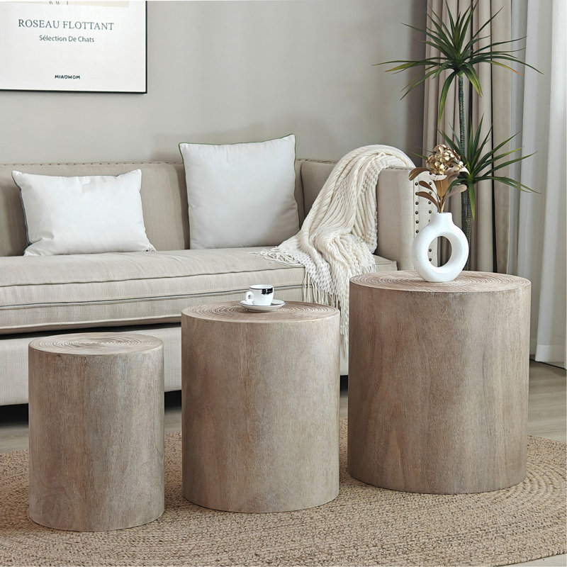Ensemble de 3 tables basses rondes en bois, tables de bout et supports à plantes, Bois naturel délavé