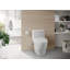 Nexus® 1.28 GPF Elongated One-Piece Toilet High Efficiency Flush (Seat Included)-48006144