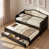 Noir est en rupture de stock
