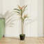 90cm Plant