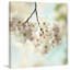 « spring light » par sylvia cook-reproduction de photo sur toile tendue-1859205296