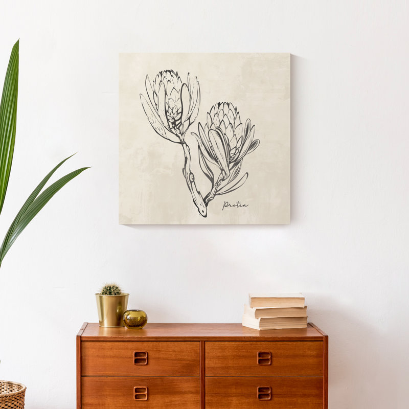 " Protea Sketch " Print