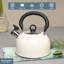 Buckingham Camping Whistling Kettle Stainless Steel with Heat-Resistant Handle 2.5 Litres-1644963931