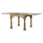 Terrell Extendable Solid Wood Dining Table