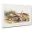 Missouri Mice by J.W. Audubon - Wrapped Canvas-55362466