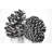 Three Pine Cones | Rustic Bedroom Canvas Decor