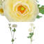 27" Artificial White Ranunculus Stems