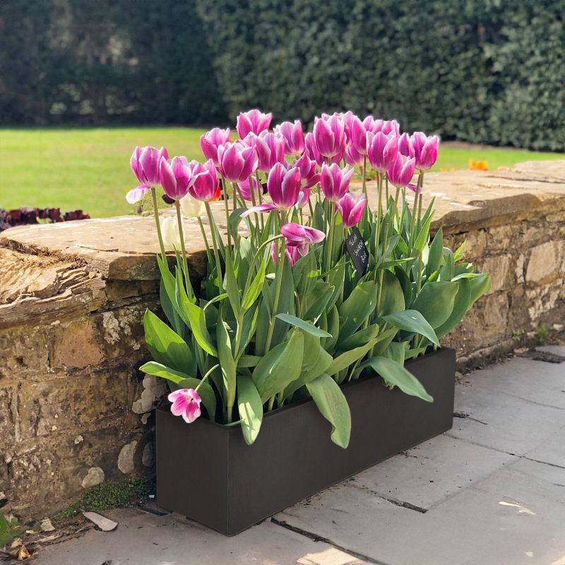 Window Flower Box Planter, Frostproof Outdoor Plant Pot, Narrow Garden Planter with Drainage Holes, Concrete Effect Windowsill Planter