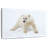 Brampt Juvenile Polar Bear-107860403