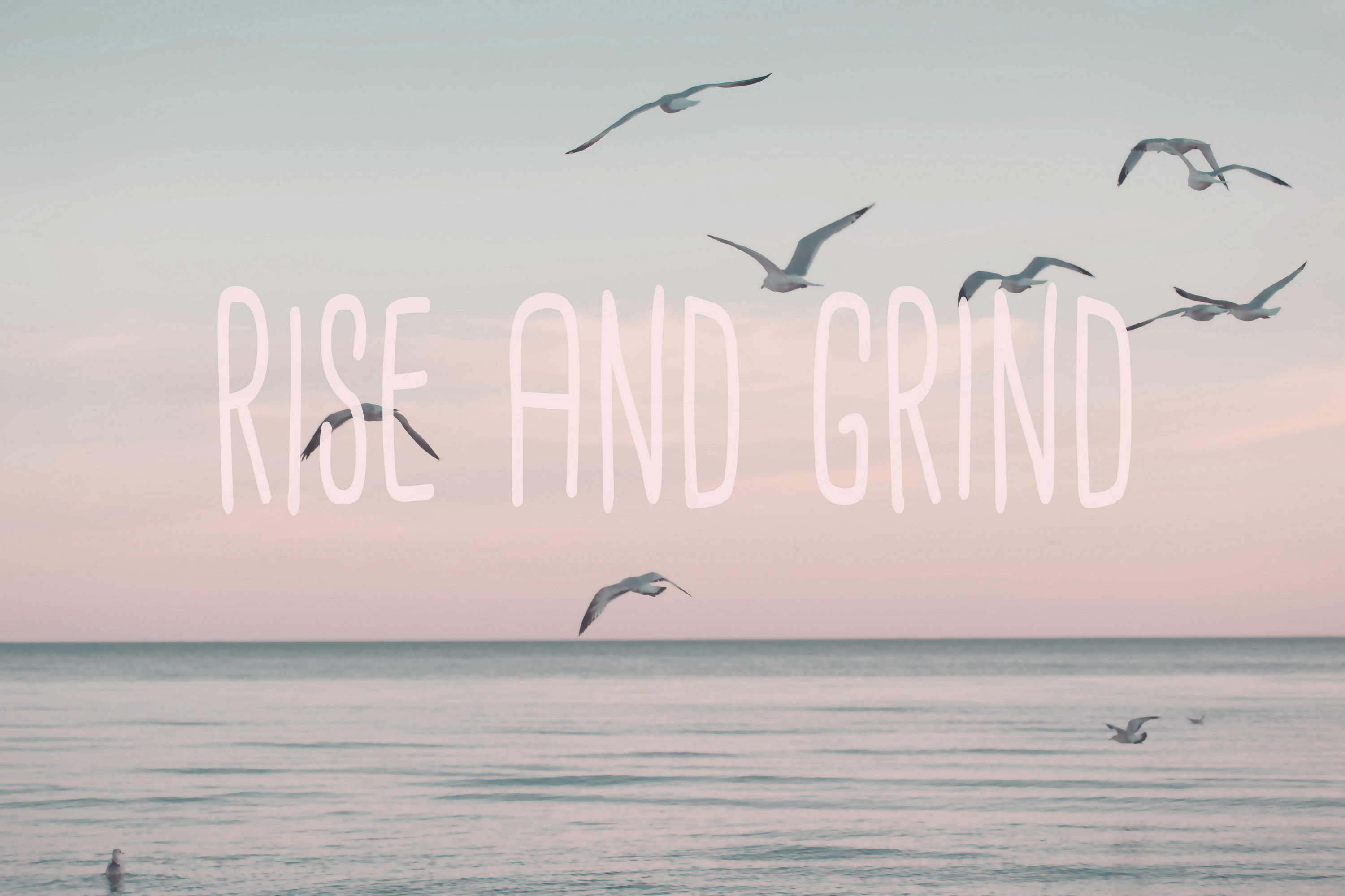 Latitude Run® 'Rise and Grind' Graphic Art Print on Wrapped Canvas ...