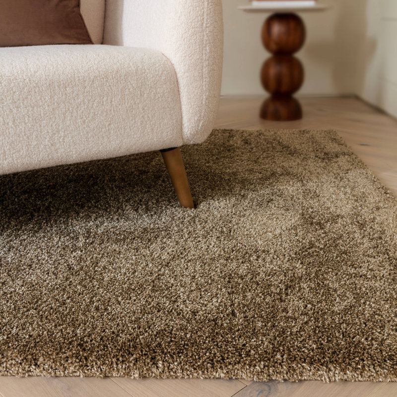 Taiwo Shaggy Natural Area Rug, Rectangle 80 x 150 cm