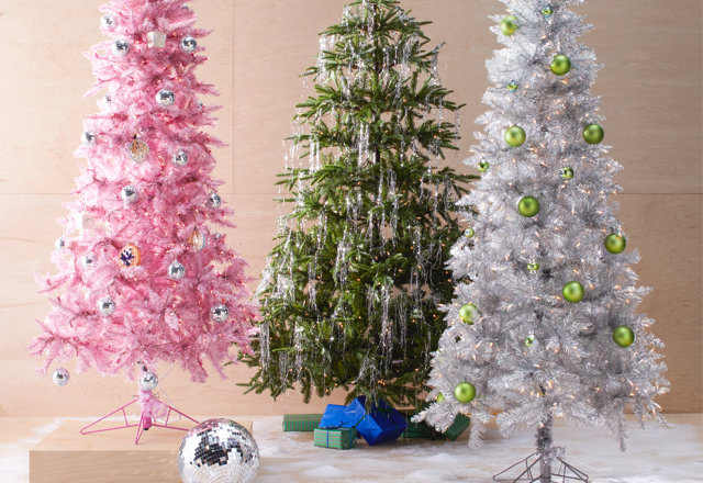 Christmas Trees Delivered in Days