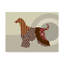 «Buck Hound Dog» par Buckey, impression sur toile tendue-27490809