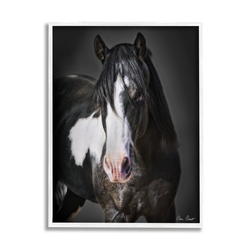 Cheval noir et blanc sur bois par David Drost, H 20 po x l 16 po x P 1,5 po