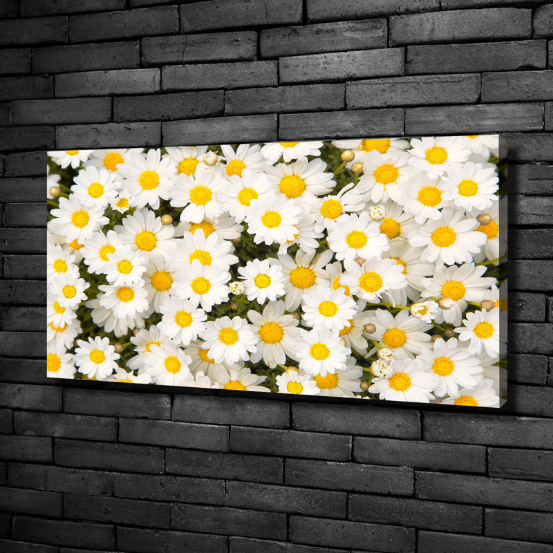 Daisies - No Frame Print on Canvas