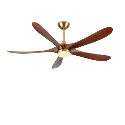 Ventilateur de plafond DEL standard à 5 pales, lumière DEL à intensité variable