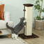 Scratching Post-108202236