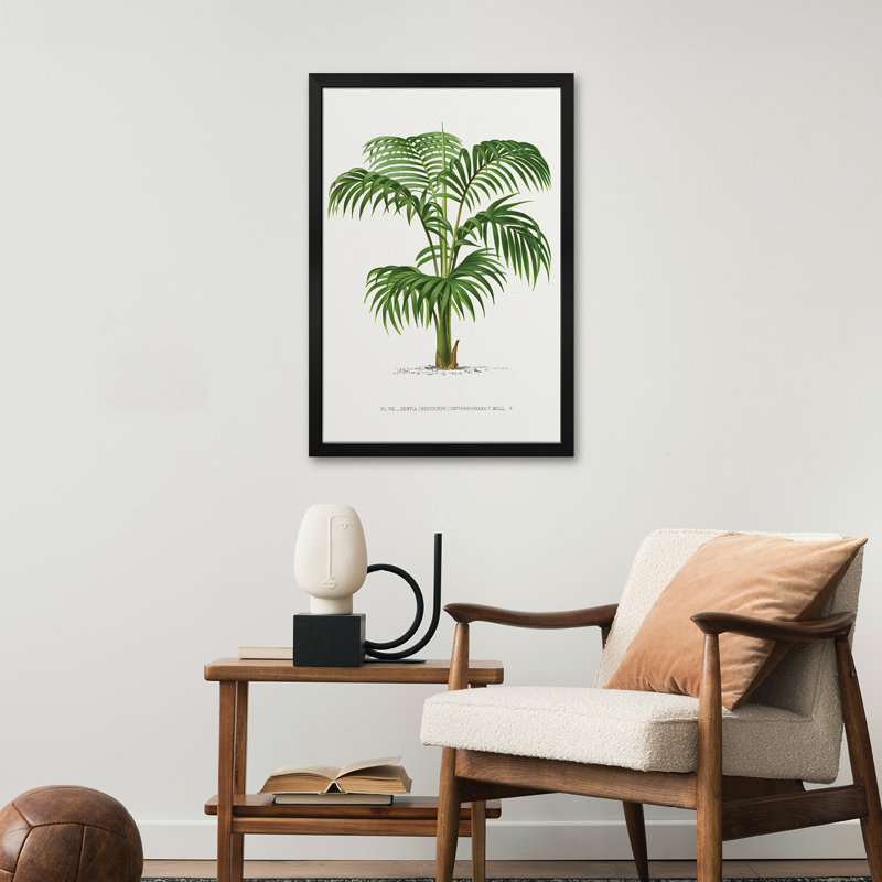 Kentia Vii - reproduction d'art murale - affiche de galerie, H 32 po x l 24 po