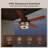 42" Indoor/Outdoor Ceiling Fan with Light, IP44 Waterproof, Quiet DC Motor with Remote Control, 6 Speeds & Timer for Patio, Porch, Bedroom-699454932