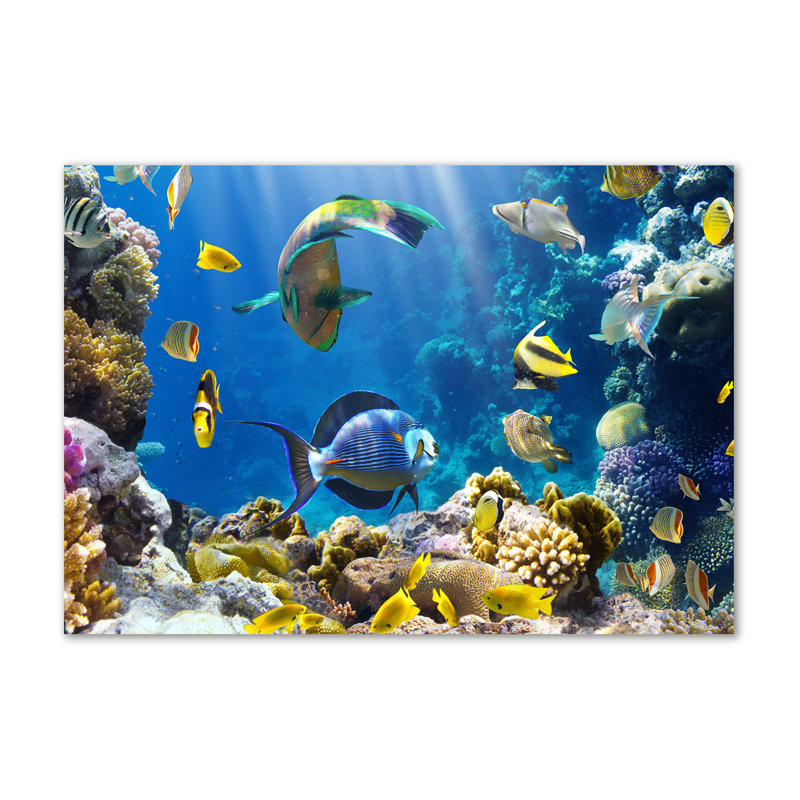 Coral Reef - Wrapped Canvas Print