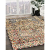 Oriental Indoor Rug