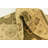 Delao Olive Rug