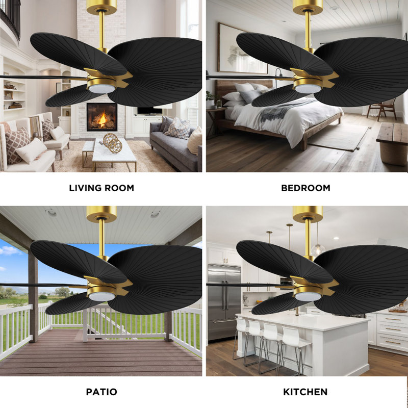 Alessandra Tropical - Five Blade Ceiling Fan - Integrated LED -Matte Black Finish -Light Blue Blades, Brushed Brass