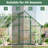Green 6x9 Ft Outdoor Polycarbonate Greenhouse with Enhanced Aluminum Frame, Lockable Push Door and Adjustable Roof Vent for Garden or Backyard-124939878