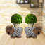 Support pour plante Elephant Garden