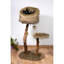 Corrigan 105cm H Cat Tree