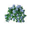 Hortensia suspendu 27 "UV-70174717