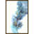 Image Brush Gel selected