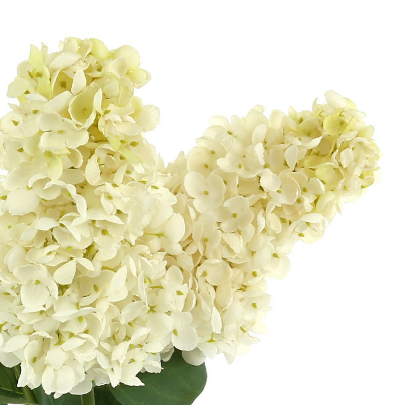 Luxe Cone Hydrangea Arrangement, Cream