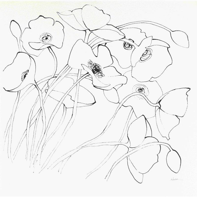 " Black Line Poppies II ", 36" H x 36" W