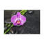 Wall Art on Canvas-1749073459
