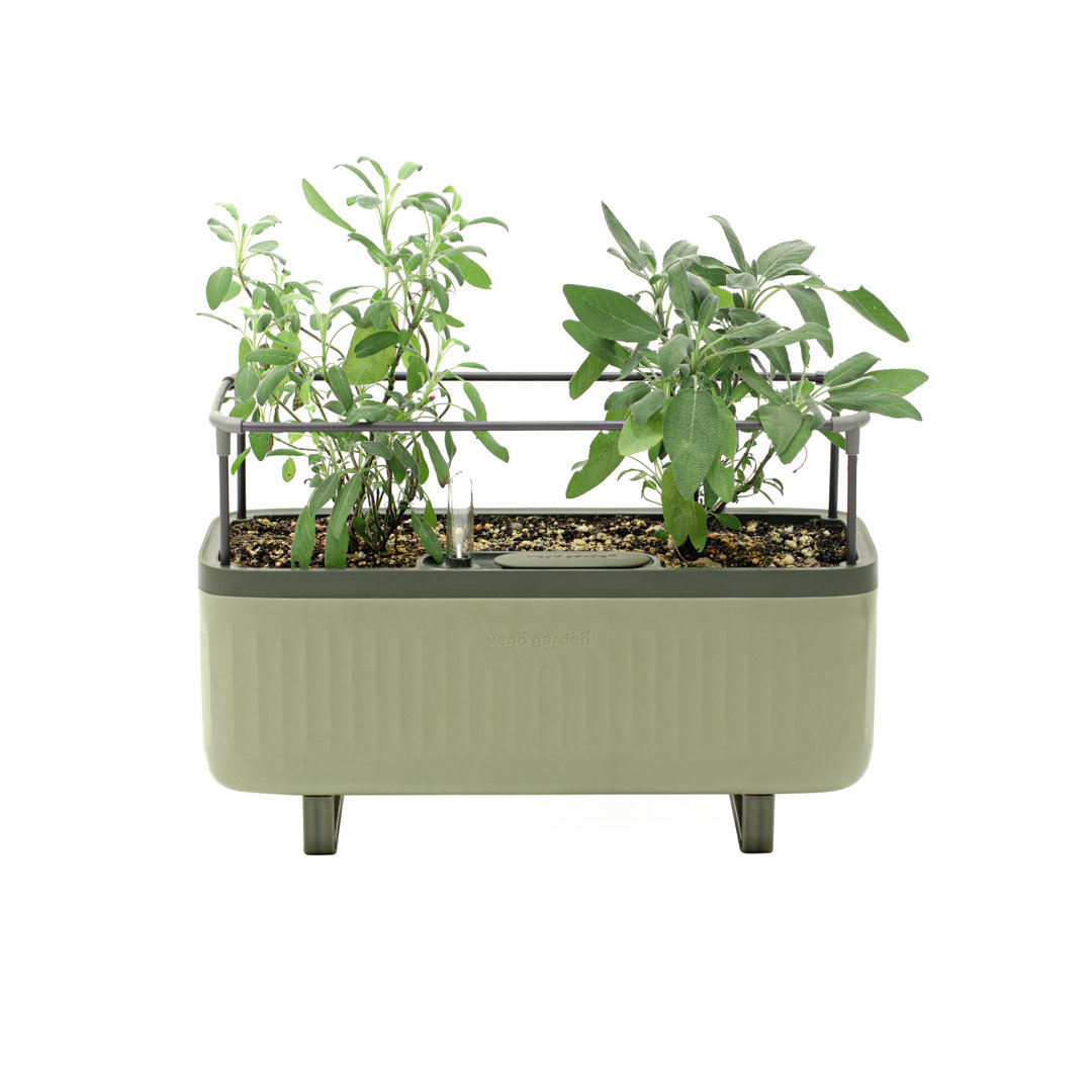 Mini Herb Plastic Outdoor Pot Planter with Trellis Vego Garden 