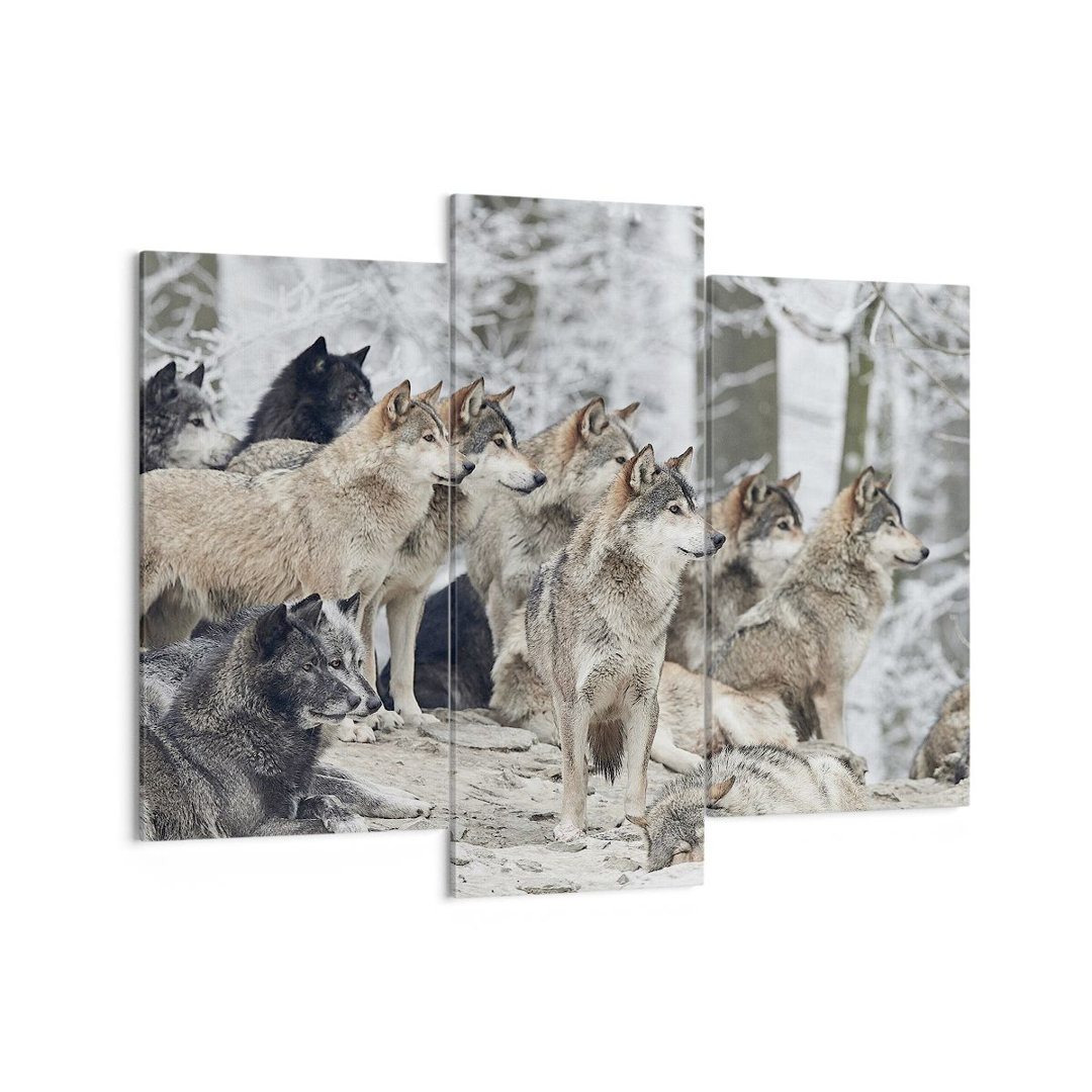 3-tlg. Leinwandbilder-Set Pack Wolves Winter