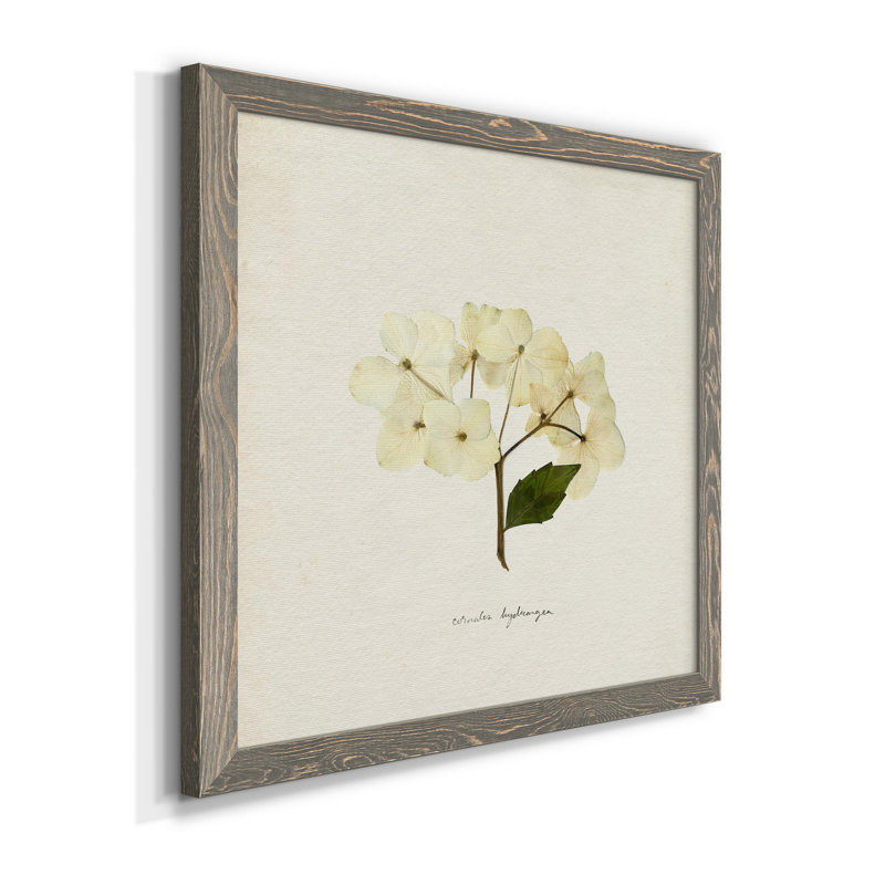 Cornales Hydrangea II - toile encadrée de qualité supérieure - prête à être accrochée, H 27,5 po x l 27,5 po x P 1,5 po