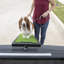 Rampe pour animal de compagnie 72 po Zenobia