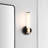 Jahquell Iron/Acrylic Armed Sconce
