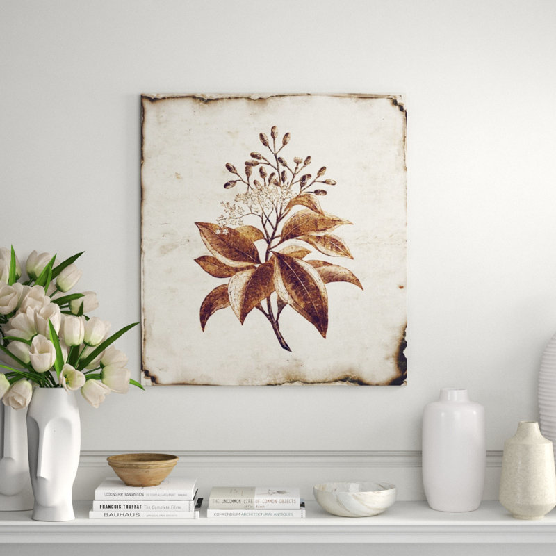 Botanique I Print by Zoey Riley, Glass Coat, 28" H x 24" W