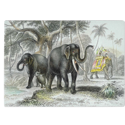 Tempered Glass Asian Elephants Chopping Board