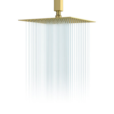 Grande pomme de douche à pluie double 12 pouces à fixation double 12 GPM