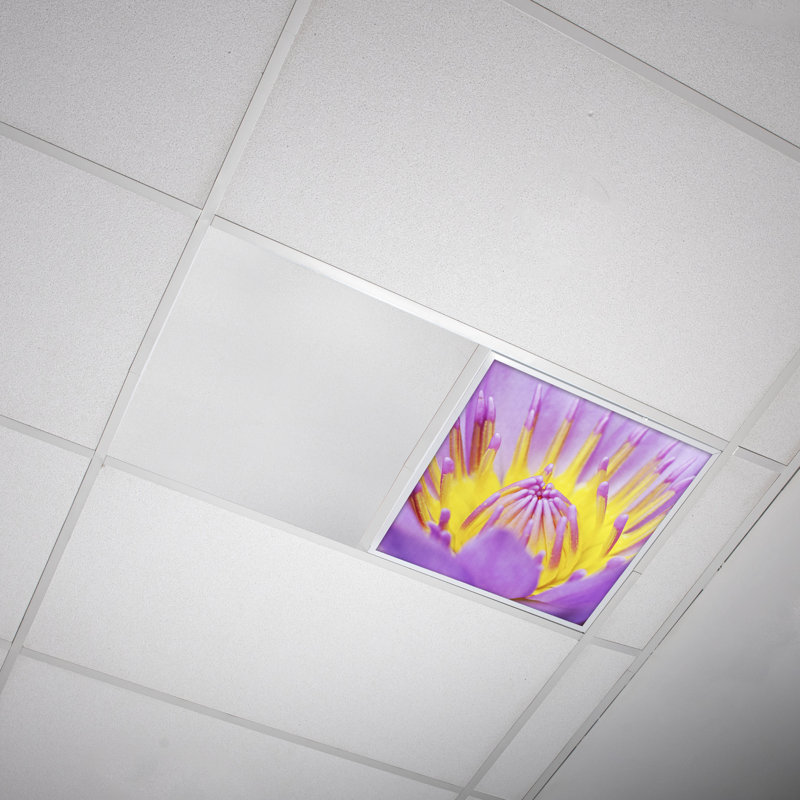 Flower Square Fixture Component Ceiling Light