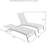 Maryport 2-piece Outdoor Chaise Lounge Set-581718670