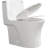 1.1/1.6 GPF Dual-Flush Elongated One-Piece Toilet with 16.34 in | Siphon Jet-124567331