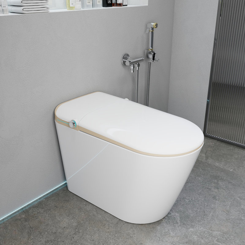 SJ STAR&JANE Elongated Bidet Toilet 1.32 GPF Tankless In White ,Instant Heat, Heated Seat, Auto Flush, Warm Air Dryer With Remote