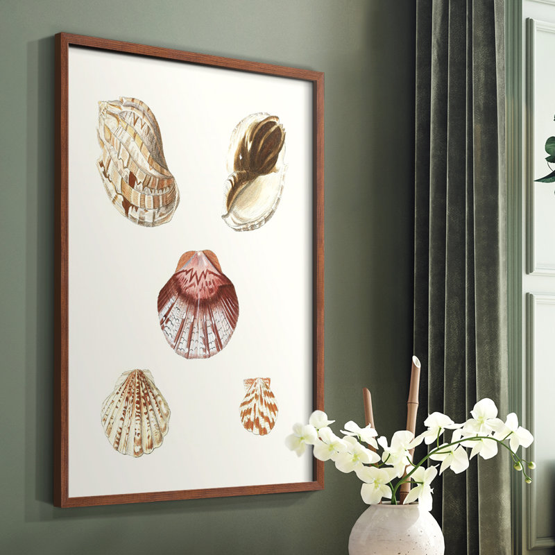 «Pastel Knorr Shells», reproduction encadrée en bois massif, Brun, H 10 po x l 8 po