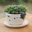 Mini pot de fleurs en céramique pour enfants Zoomie